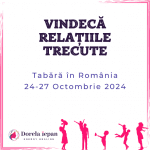 VINDECA RELATIILE TABARA oct 2024